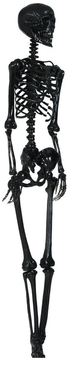 Hanging Skeleton 90cm Ready To Hang