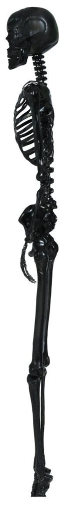 Hanging Skeleton 90cm Ready To Hang