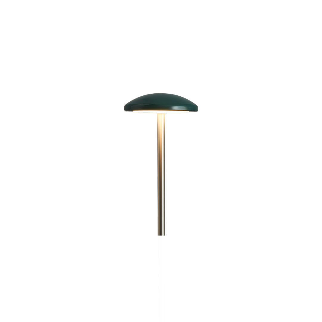 Hardwired Weatherproof Aluminum Acrylic Diffuser Path Light