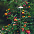 Hardwired Weatherproof Aluminum Acrylic Diffuser Path Light