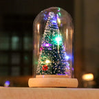 Holiday Display Dome LED-Lit Battery-Powered Glass & Wood Base
