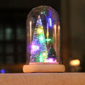 Holiday Display Dome LED-Lit Battery-Powered Glass & Wood Base