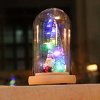 Holiday Display Dome LED-Lit Battery-Powered Glass & Wood Base