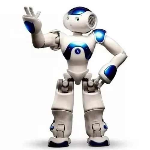 Humanoid Robot Lifelike Motion & High-Res Vision