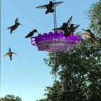 Hummingbird Feeder 30 Diamond Ports Bee-Blocking Hexagonal Raised Edges
