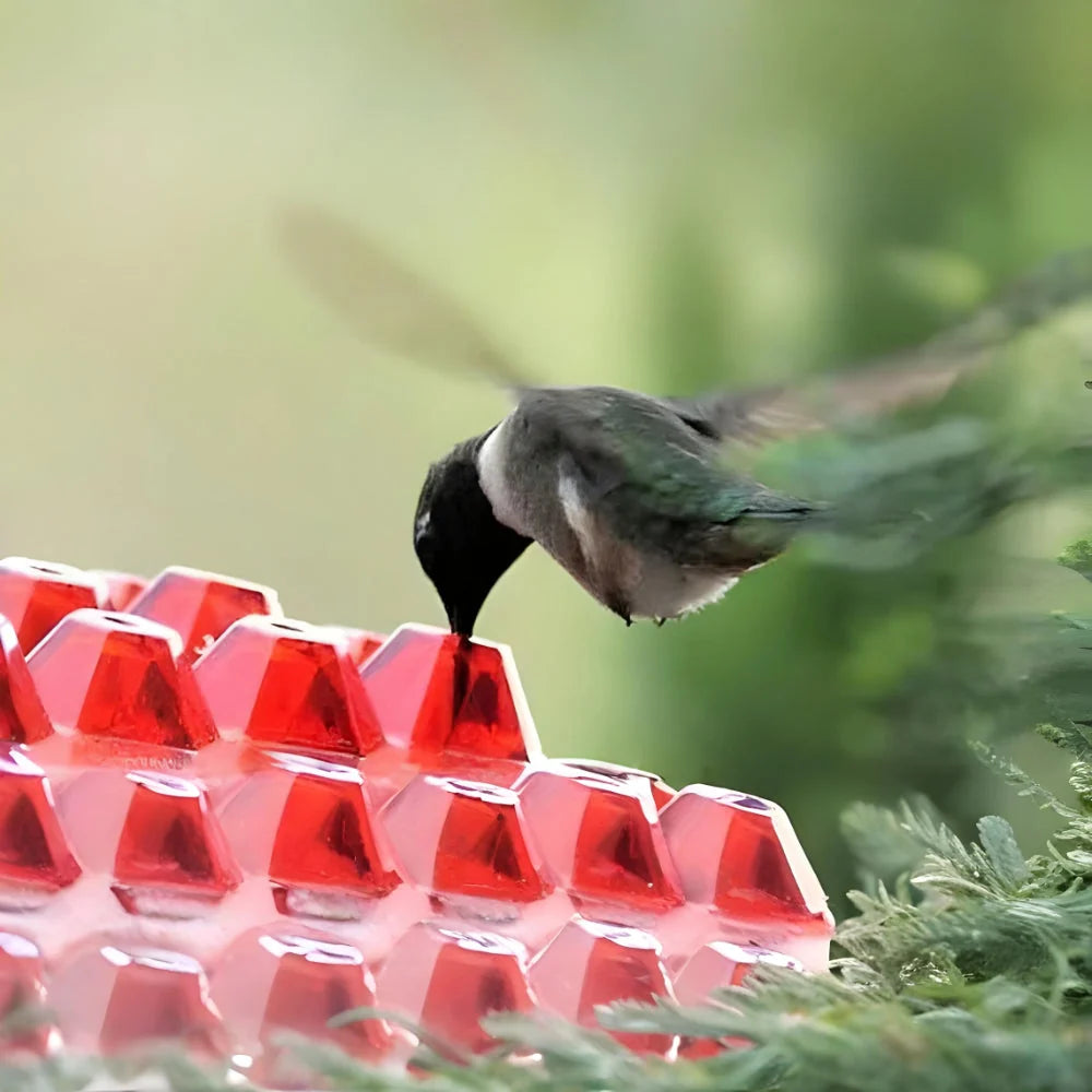 Hummingbird Feeder 30-Port Ant Moat Easy-Fill Top