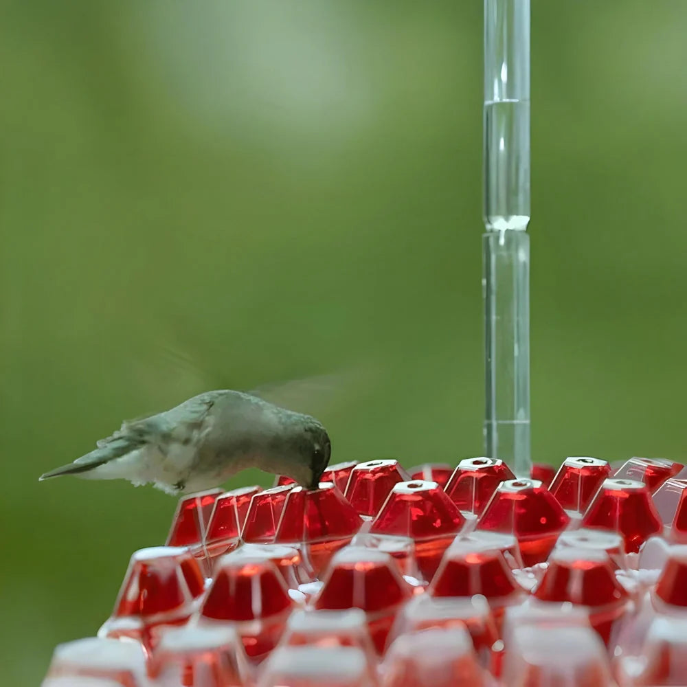 Hummingbird Feeder 30-Port Ant Moat Easy-Fill Top