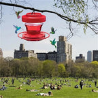 Hummingbird Feeder 8 Ports Bee-Proof & Ant Moat