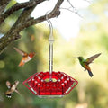 Hummingbird Feeder Ant-Proof Moat 30 Ports & Perches