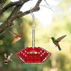 Hummingbird Feeder Ant-Proof Moat 30 Ports & Perches