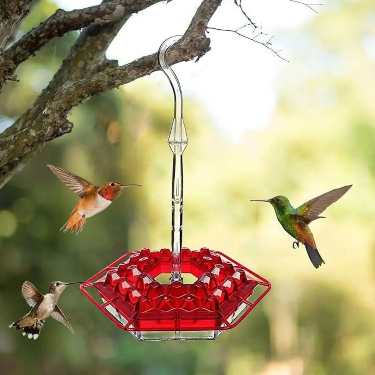 Hummingbird Feeder Ant-Proof Moat 30 Ports & Perches