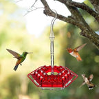 Hummingbird Feeder Ant-Proof Moat 30 Ports & Perches