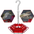 Hummingbird Feeder Ant-Proof Moat 30 Ports & Perches