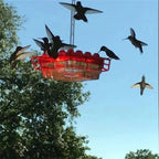 Hummingbird Feeder Ant-Proof Moat & Leak-Proof 30 Feeding Ports