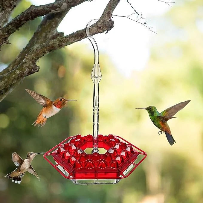 Hummingbird Feeder Ant-Proof Moat & Leak-Proof 30 Feeding Ports