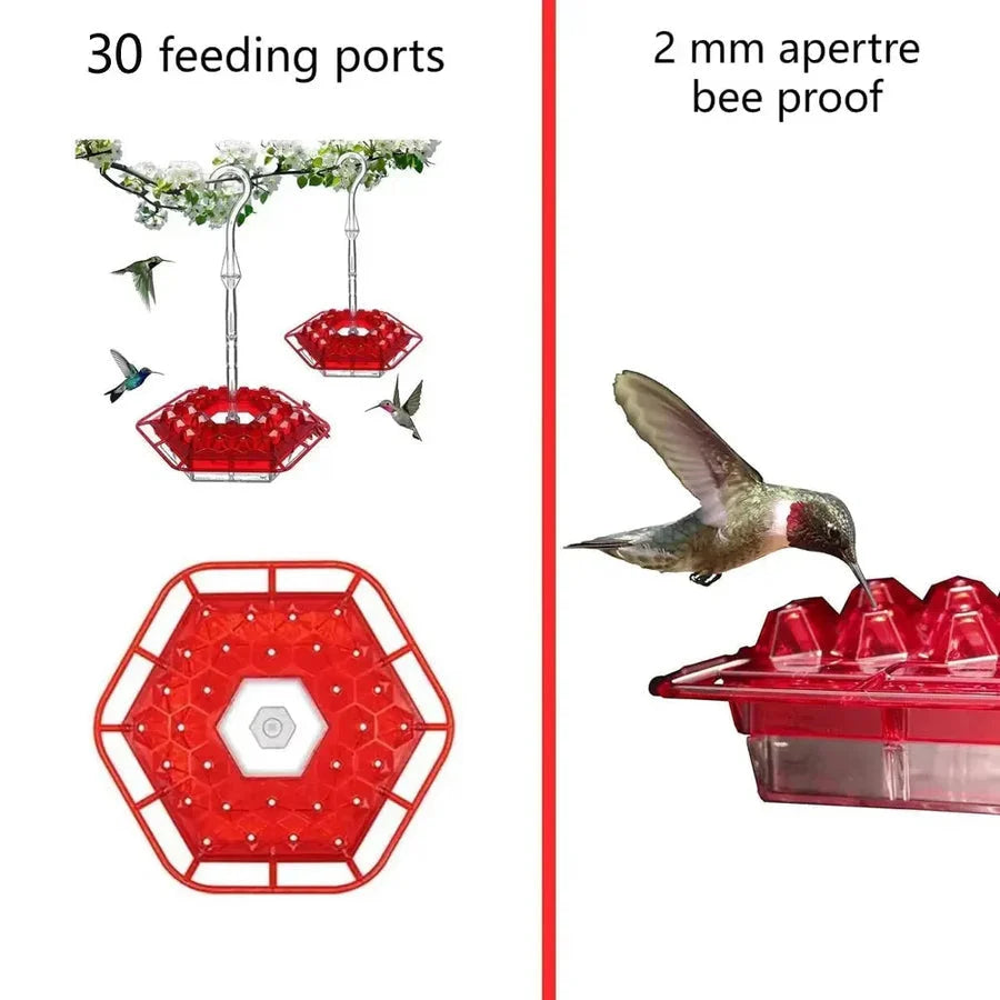 Hummingbird Feeder Ant-Proof Moat & Leak-Proof 30 Feeding Ports
