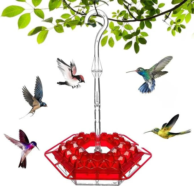 Hummingbird Feeder Ant-Proof Moat & Leak-Proof 30 Feeding Ports