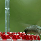 Hummingbird Feeder Built-In Ant Moat Leak-Proof Wide Opening