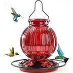 Hummingbird Feeder Glass Leakproof Insect-Proof 26 Oz