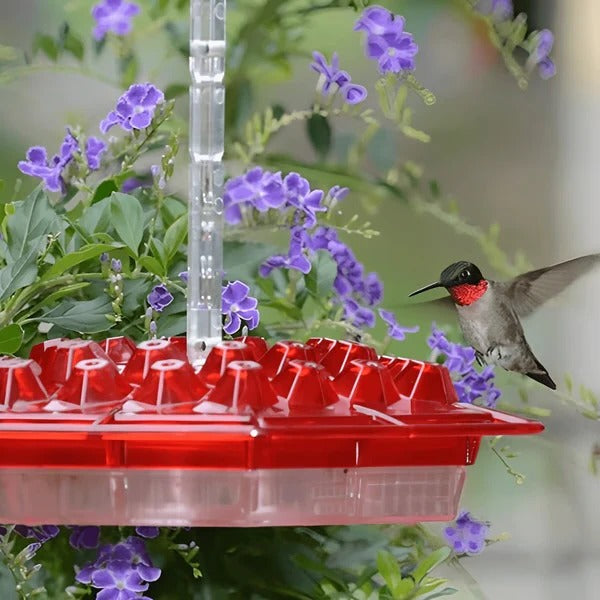 Hummingbird Feeder Integrated Ant Moat Leak-Proof 24 Oz