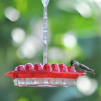 Hummingbird Feeder Raised Hexagonal Ports Bee-Resistant
