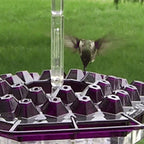 Hummingbird Feeder Raised Hexagonal Ports Bee-Resistant
