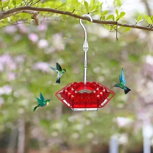 Hummingbird Feeder Raised Hexagonal Ports Bee-Resistant