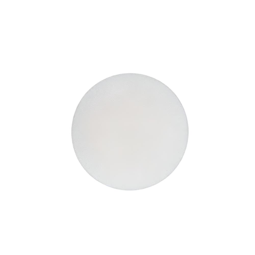 IP65 Weather-Resistant Stainless Steel LED Wall Sconce