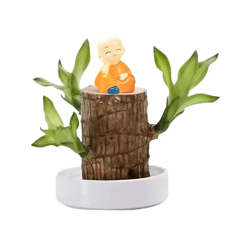 Indoor Air-Purifying Plant Low-Maintenance Wood Log Base