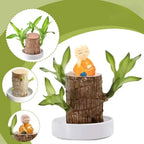 Indoor Air-Purifying Plant Low-Maintenance Wood Log Base