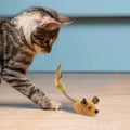 Indoor Cat Toy Motion-Activated USB Rechargeable