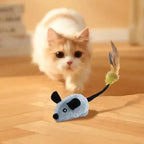 Indoor Cat Toy Motion-Activated USB Rechargeable