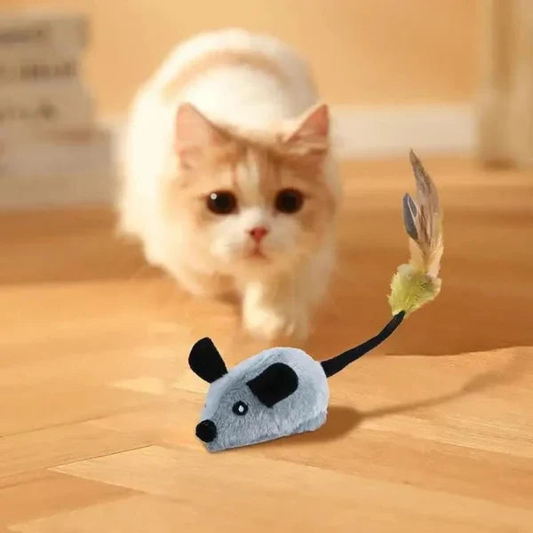 Indoor Cat Toy Motion-Activated USB Rechargeable