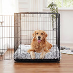 Indoor Dog Bed Raised Edge Removable Washable Cover