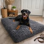 Indoor Dog Bed Raised Edge Removable Washable Cover