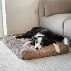 Indoor Dog Bed Raised Edge Removable Washable Cover