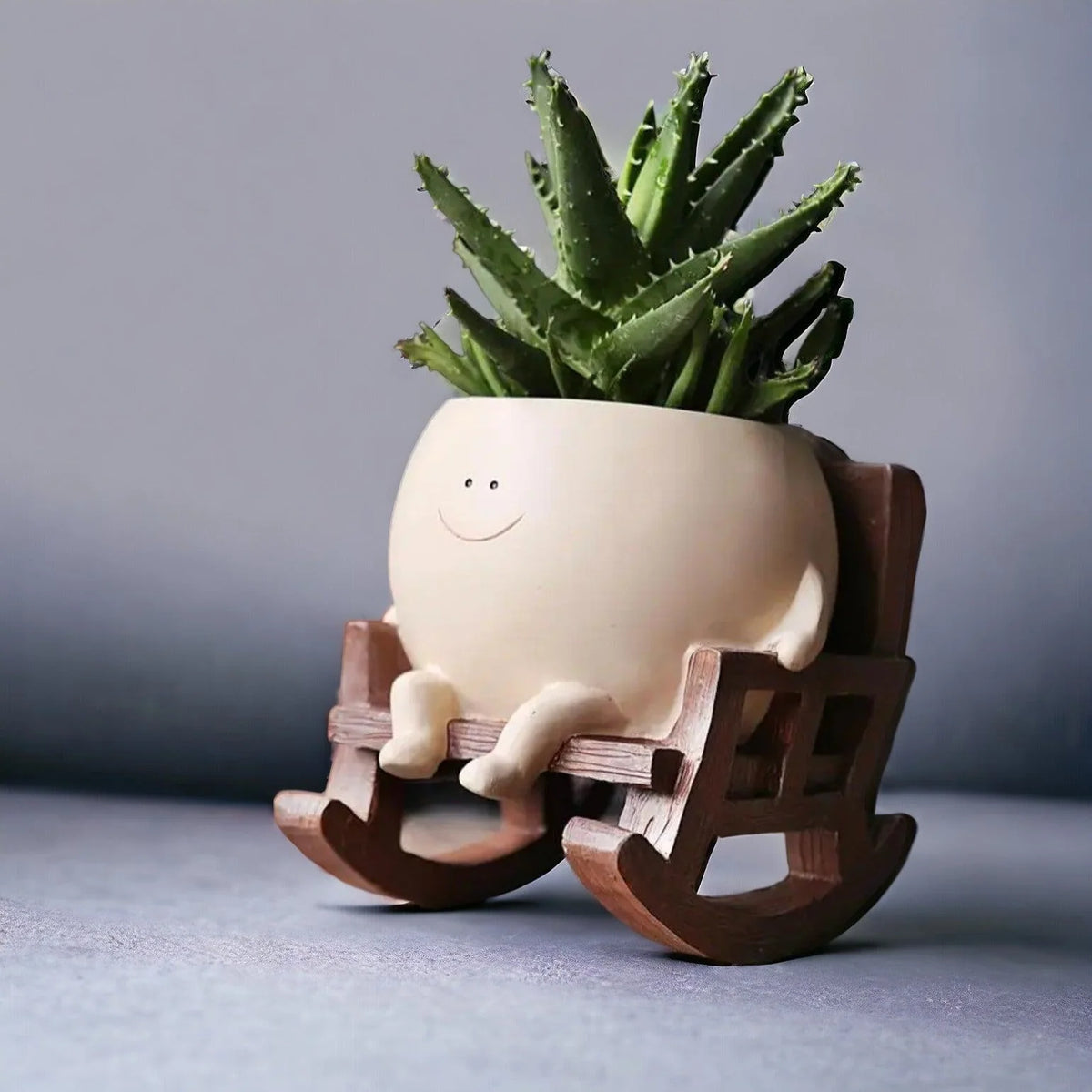 Indoor Plant Pot Molded Resin Smiling Face