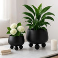 Indoor Plant Pot Set Modern Rounded Ceramic Elevated Base