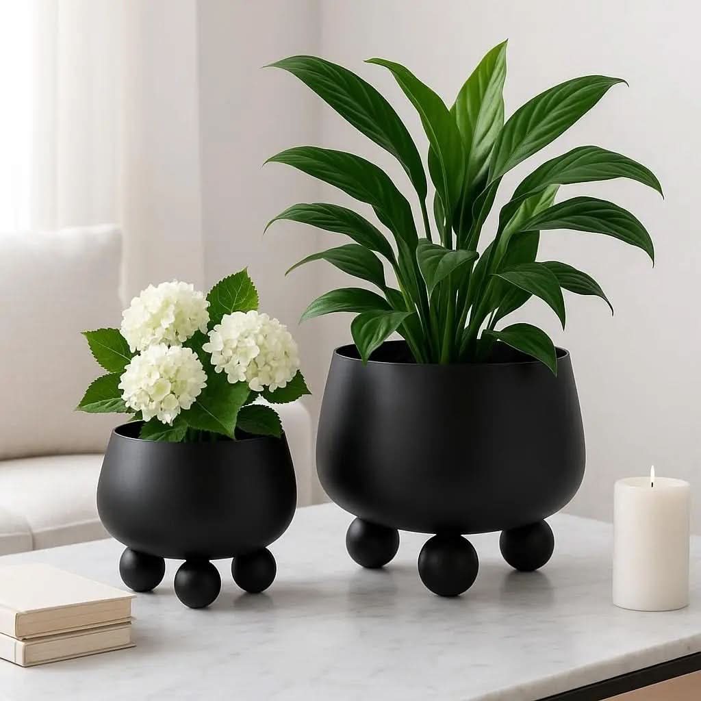 Indoor Plant Pot Set Modern Rounded Ceramic Elevated Base
