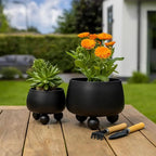 Indoor Plant Pot Set Modern Rounded Ceramic Elevated Base