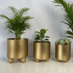 Indoor Plant Pot Set Modern Rounded Ceramic Elevated Base