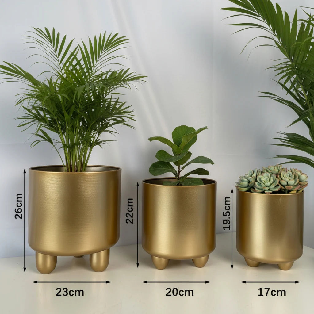 Indoor Plant Pot Set Modern Rounded Ceramic Elevated Base