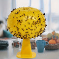 Insect Trap No-Power Reusable Indoor & Outdoor