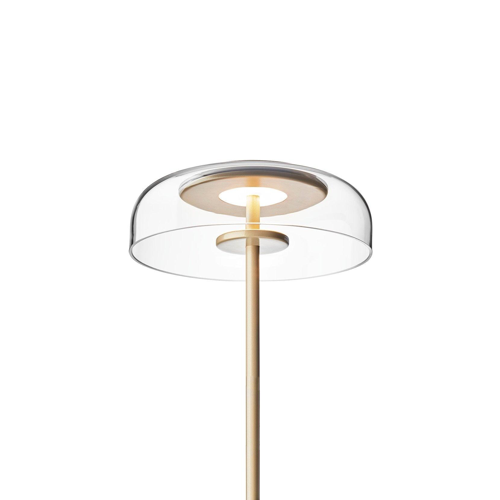 Integrated LED Adjustable Color Temperature Glass Dome Table Lamp