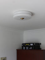 Integrated LED Art Deco Flush Mount Ceiling Light