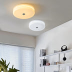 Integrated LED Art Deco Flush Mount Ceiling Light
