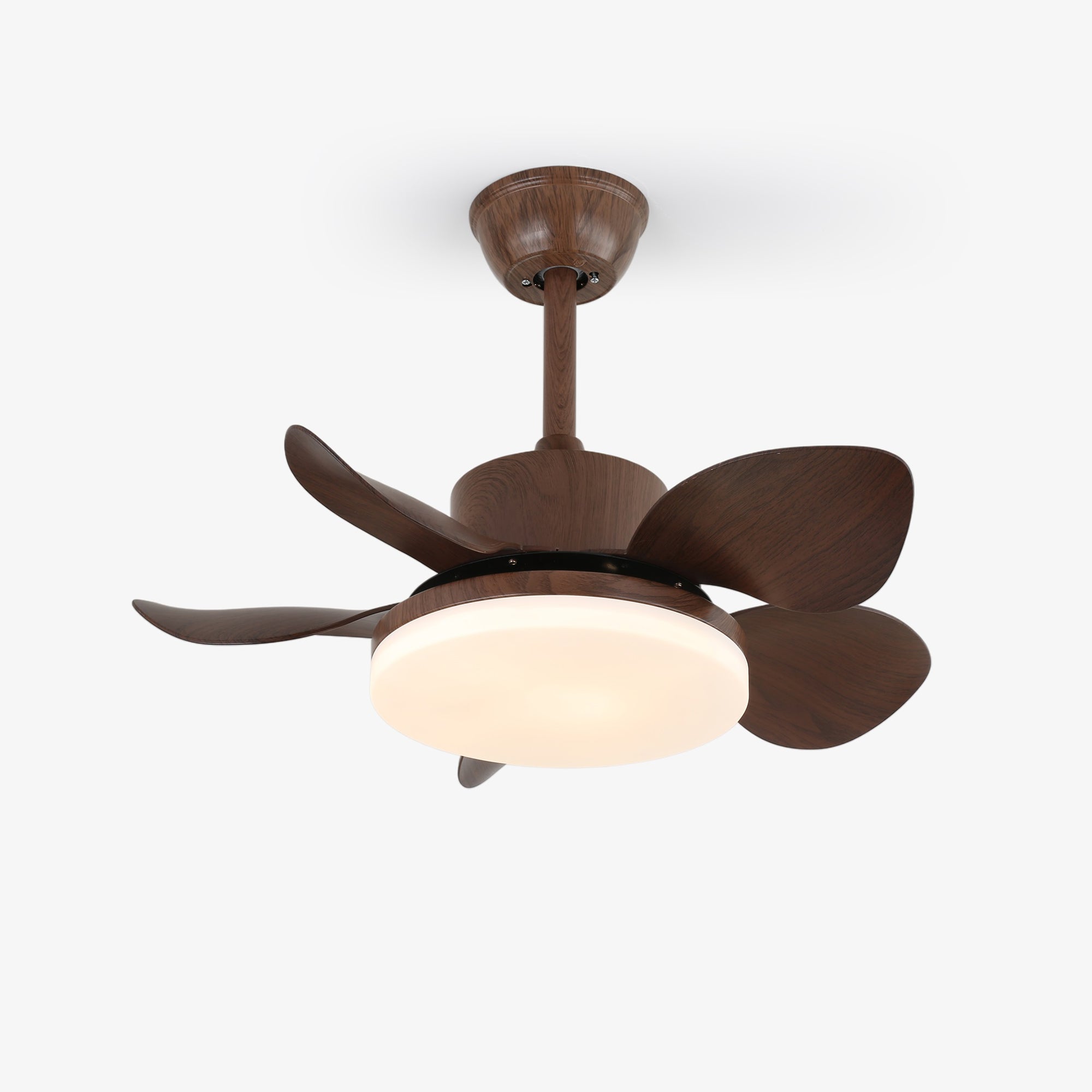Integrated LED & Remote Control Ceiling Fan Light