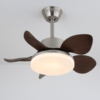 Integrated LED & Remote Control Ceiling Fan Light