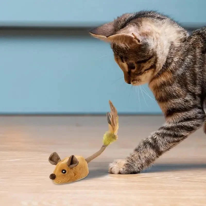 Interactive Cat Toy Rechargeable 360-Degree Plush