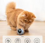 Interactive Cat Toy Unpredictable Motion USB Rechargeable